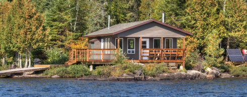 Little Gull exterior